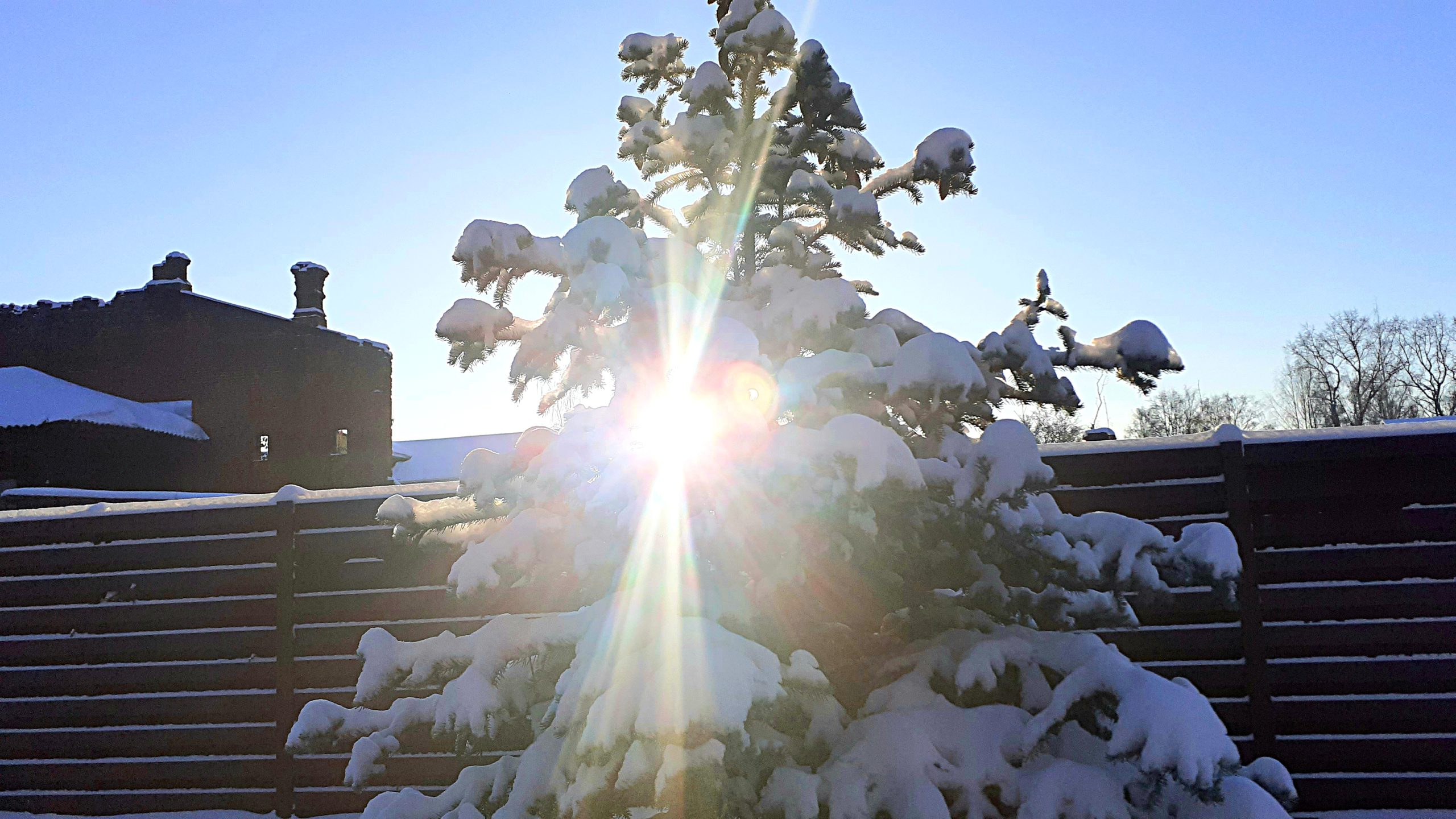 Что происходит в день зимнего солнцестояния 5. Зимнее солнцестояние. Праздник зимнего солнцестояния. Якутск зимой. Зимнее солнцестояние фото.
