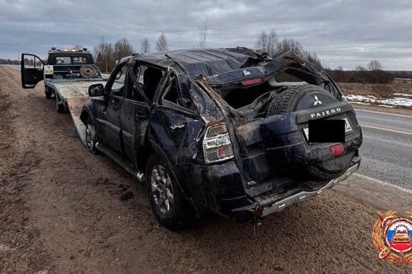 Под Рамешками в аварию попала пожилая пара